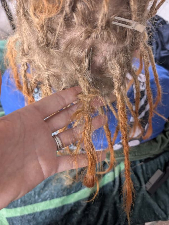 Haar mit Dreadlocks, orange gefärbt, von hinten mit Hand gehalten.